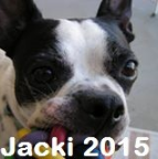 Jacki Baumann 2004-2015